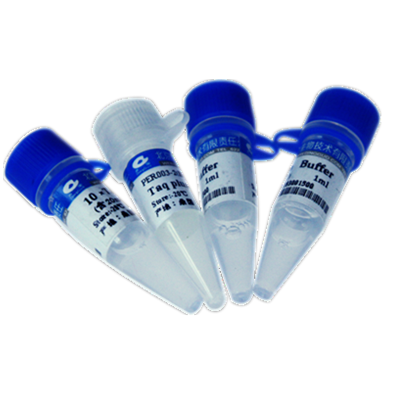 鼎国试剂 Taq DNA polymerase